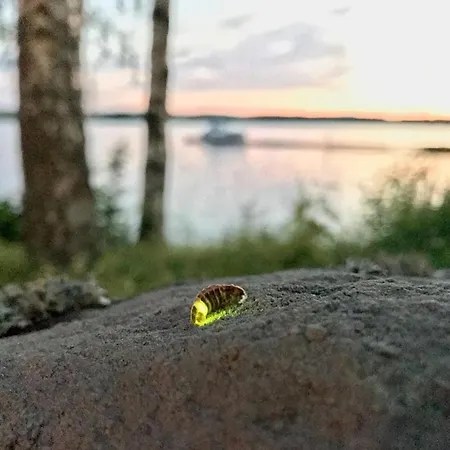 Koskenselkae بومالا