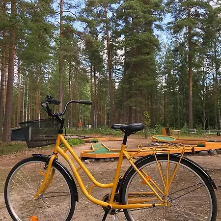 Koskenselkae