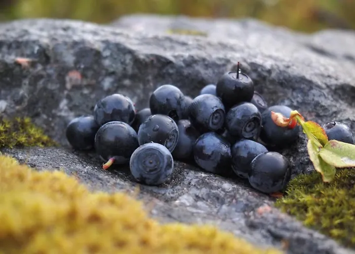 Gerendaház Koskenselkae *